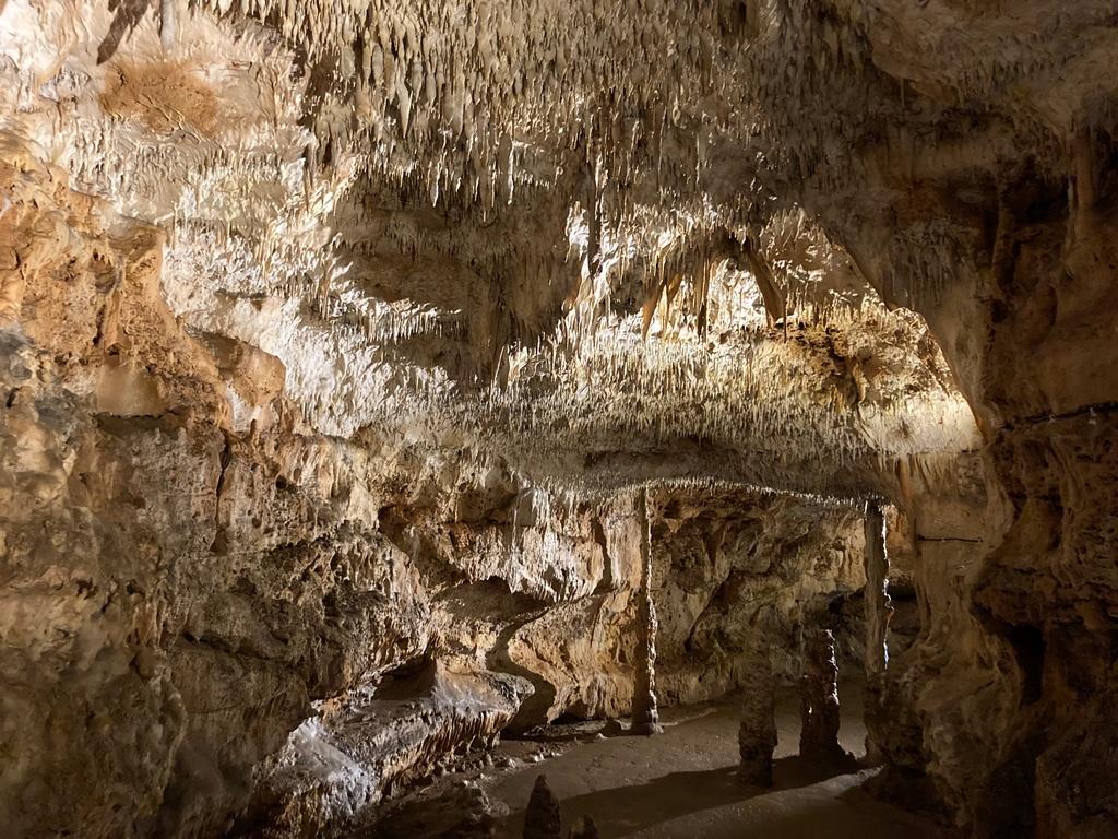 Décoration de fond pour  Venez explorer le Gouffre de la Fage